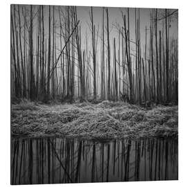 Magnettafel Düsterer Wald