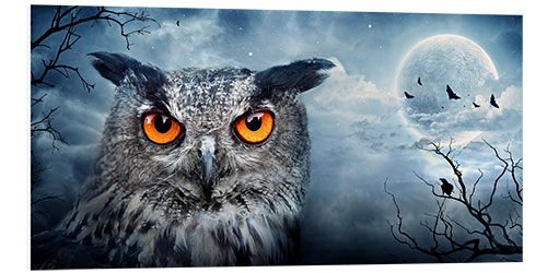 Foam board print Owl in a full moon night