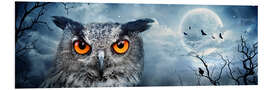 Foam board print Owl in the moonlight