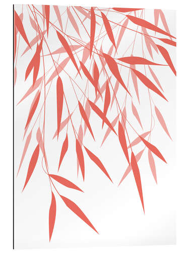 Quadro em plexi-alumínio Bamboo coral I