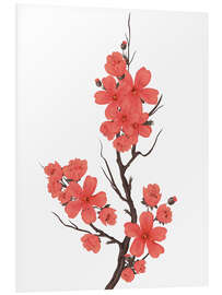 Foam board print Cherry blossoms coral