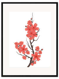 Framed art print Cherry blossoms coral