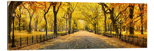 Gallery print Central Park in Autumn