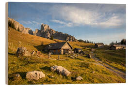 Puutaulu Stuhlalm in the Salzburger Land