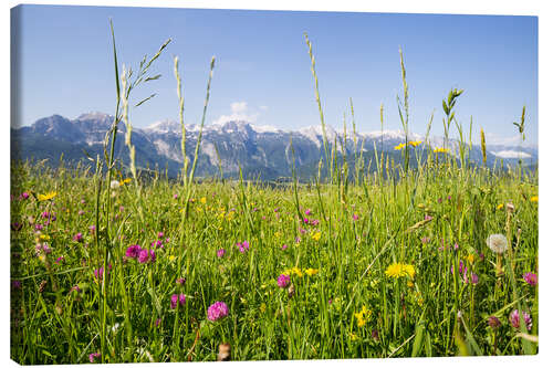 Stampa su tela Prato di fiori in montagna