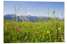 Foam board print Flower meadow in the mountains