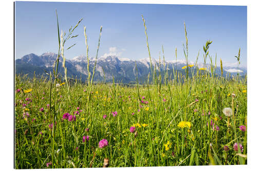 Gallery print Flower meadow in the mountains