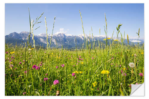 Selvklebende plakat Flower meadow in the mountains