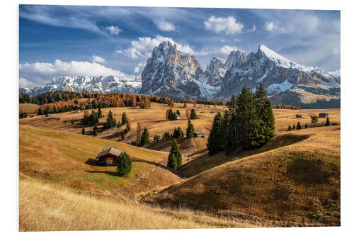 PVC print Autumn on the Alpe di Siusi Dolomites South Tyrol