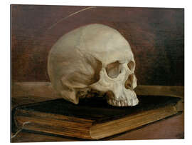 Quadro em plexi-alumínio Skull on a book