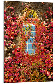 Quadro em alumínio Autumnal window