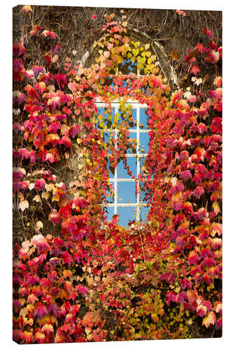 Canvas print Autumnal window