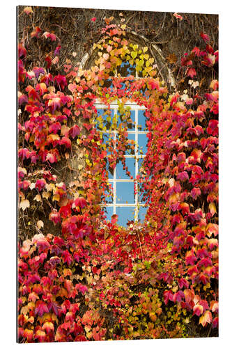 Gallery print Autumnal window