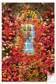 Autocolante decorativo Autumnal window