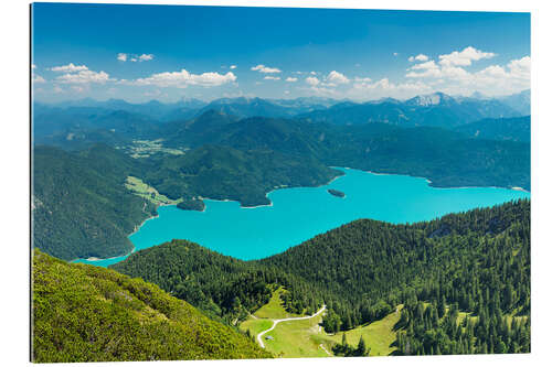 Gallery print Walchensee in the summer