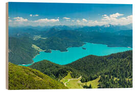 Stampa su legno Walchensee in estate