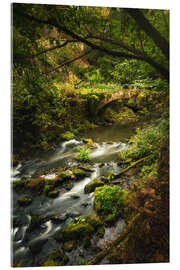 Acrylic print Old bridge in the nature