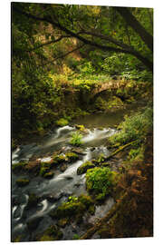 Aluminiumsbilde Old bridge in the nature