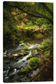 Canvas print Old bridge in the nature