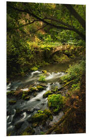 Foam board print Old bridge in the nature