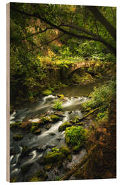 Quadro de madeira Old bridge in the nature