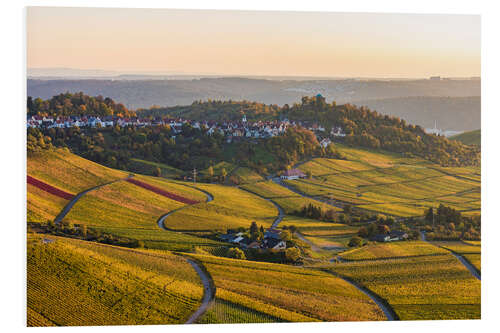 Foam board print Vineyards in the autumn