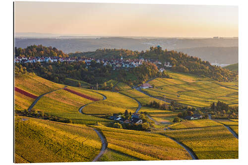 Tableau en plexi-alu Vignobles en automne