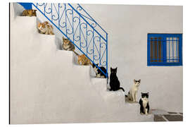 Magnettafel Katzen auf Treppe in Griechenland