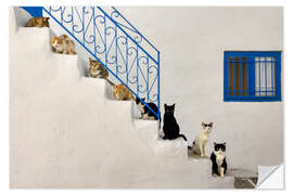 Wandsticker Katzen auf Treppe in Griechenland