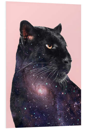 Hartschaumbild Galaxy Panther