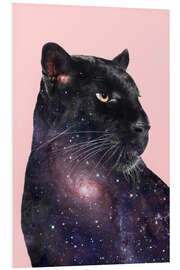 Stampa su PVC Galaxy Panther