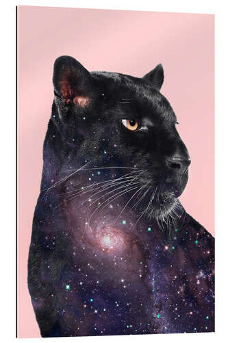 Quadro em plexi-alumínio Galaxy Panther