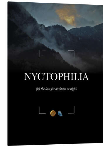 Acrylglas print Nyctophilia Definition