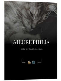 Acrylic print Ailuruphilia