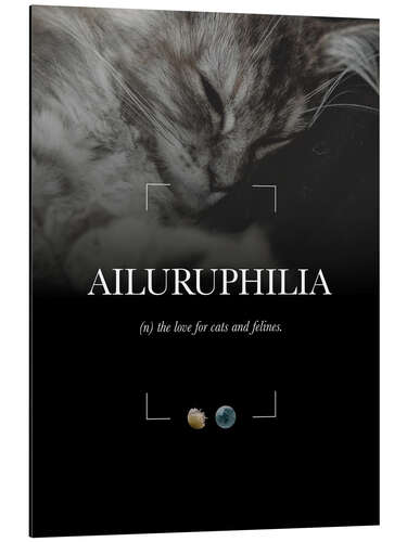 Obraz na aluminium Ailuruphilia
