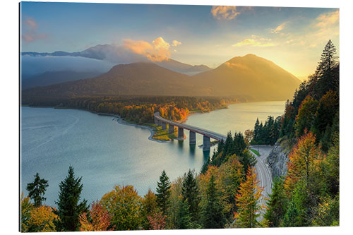 Gallery print Autumn at Sylvensteinsee in Bavaria