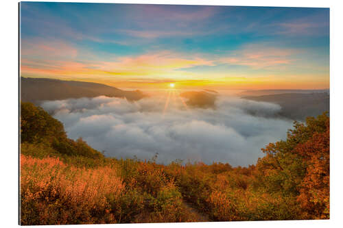 Gallery print Saar loop in the fog