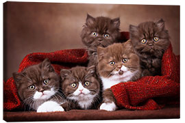 Lerretsbilde 5 cute cat kids