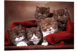 Gallery print 5 cute cat kids