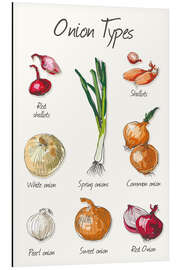 Magnettafel Onion types