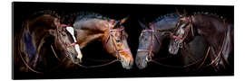 Gallery Print Turnierpferde