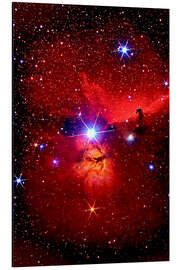 Aluminium print Horsehead Nebula in the constellation Orion