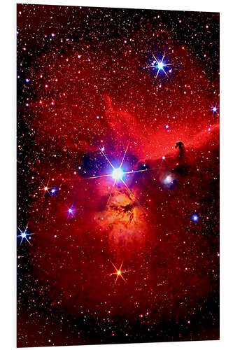 Obraz na PCV Horsehead Nebula in the constellation Orion