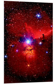 Foam board print Horsehead Nebula in the constellation Orion