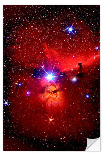 Naklejka na ścianę Horsehead Nebula in the constellation Orion