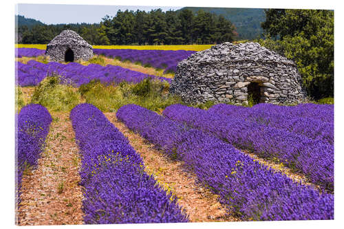 Acrylic print Provence idyll