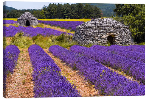 Leinwandbild Provenceidylle