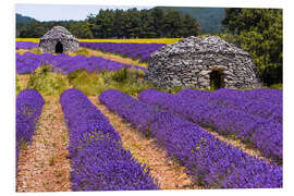 Foam board print Provence idyll