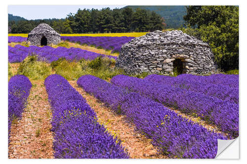 Autocolante decorativo Provence idyll