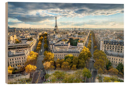 Holzbild Blick über die Dächer von Paris